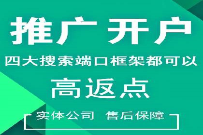 SEO与SEM优化案例：打造行业领先品牌